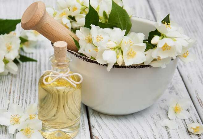 معرفی عطر زنانه با بوی گل یاس